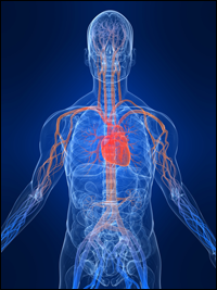 stroke carotid artery, Abdominal Aortic Aneurysm , Peripheral Arterial Disease screening